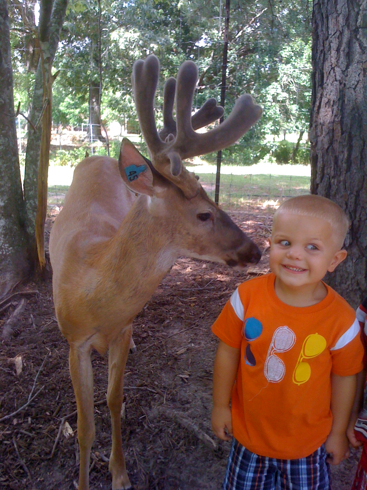Louisiana Trophy Whitetail Petting Zoo for you or your Children's